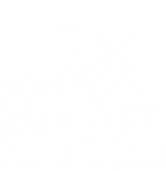 north east lincolnshire