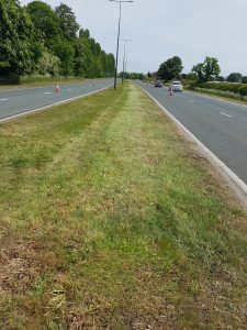 A freshly cut grassed central reservation on the A46.