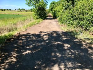 The lane off Roxton Road, Immingham, after the waste had been removed.