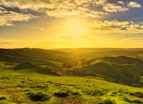 A picture showing scenery of countryside.