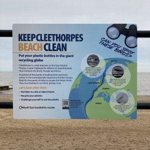 An information board next to the globe explains why Cleethorpes is so important for migrating birds.