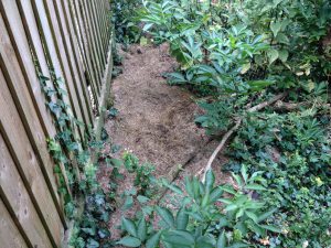 Grass cuttings fly-tipped in ditch