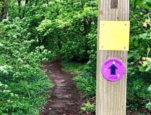 A FitRoutes trail sign