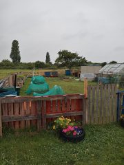 photo of allotment