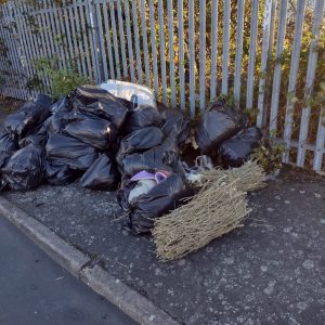 Bagged waste dumped near Cleveland Bridge