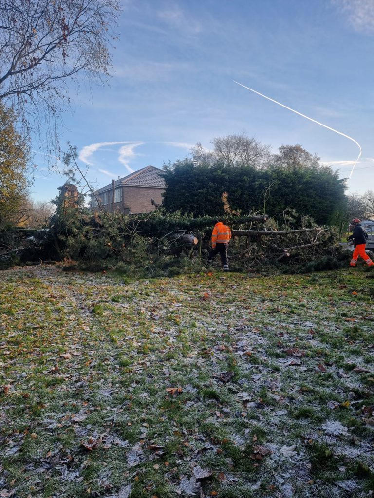 Workers from the tree team removing a damaged tree after Storm Arwen