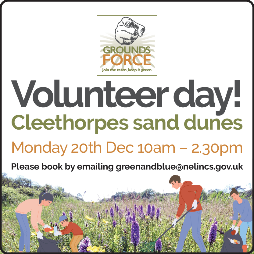 Volunteer day at Cleethorpes sand dunes