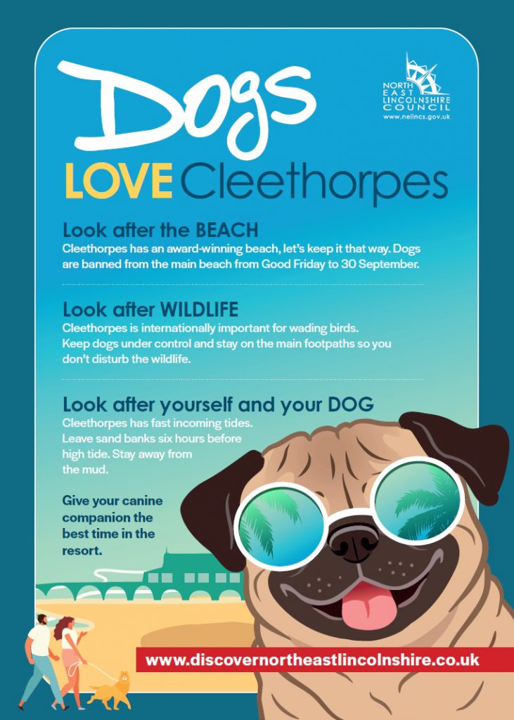 A flyer with information for dog owners visiting Cleethorpes beach.