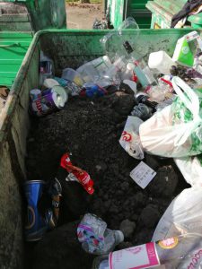 Soil in recycling bin at Fisherman's Wharf