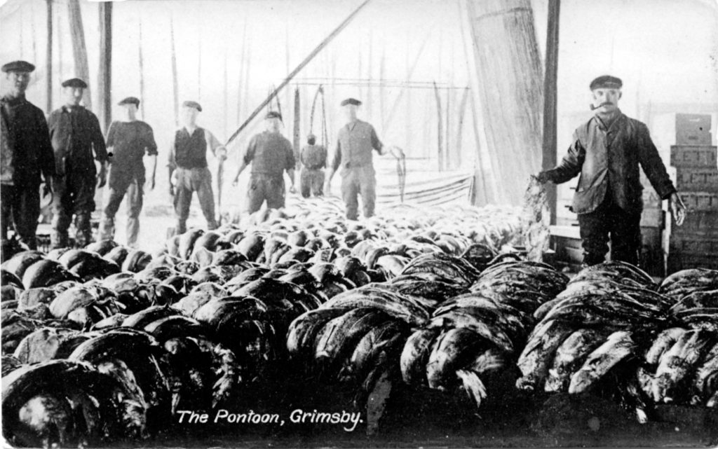 The Pontoon in Grimsby