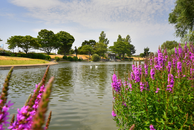 Cleethorpes boating lake