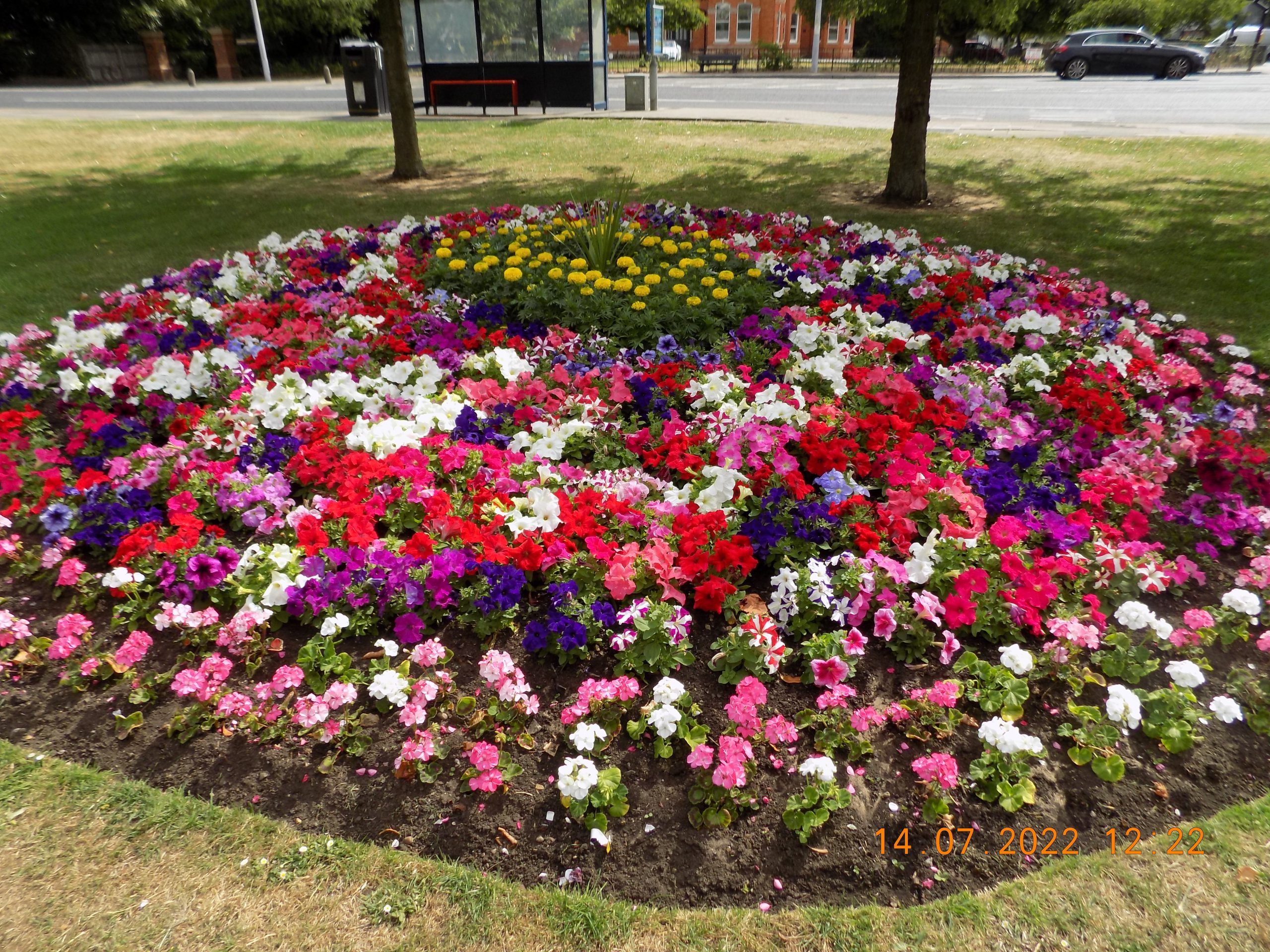 Grimsby in Bloom display