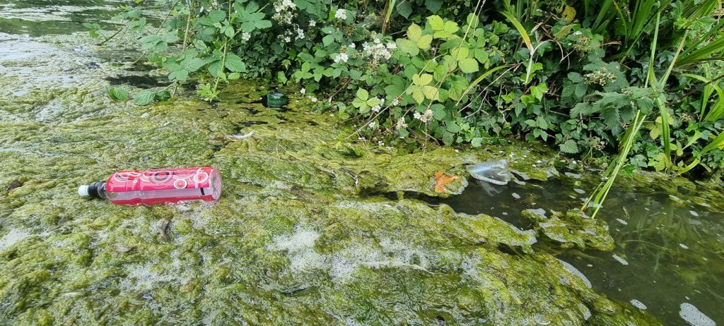 Algae and debris in the river