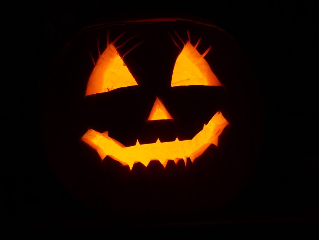 Stock image of a pumpkin.