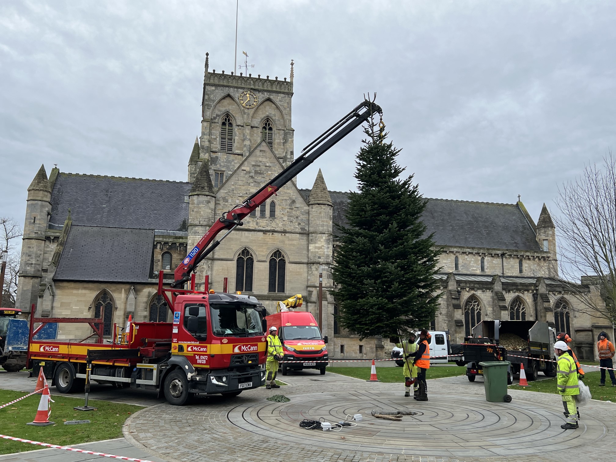 Contractors lower the tree into place
