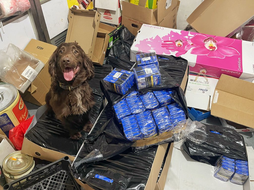 Goods seized from a Trading Standards raid, with Bran the specialist sniffer dog.