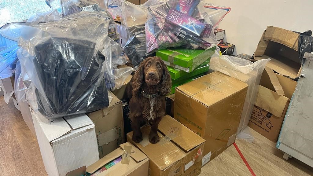 Goods seized from a Trading Standards raid, with Bran the specialist sniffer dog.