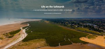 Aerial view of the Cleethorpes saltmarsh