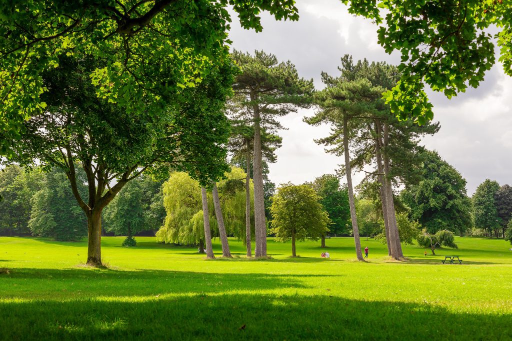 Weelsby Woods in Grimsby