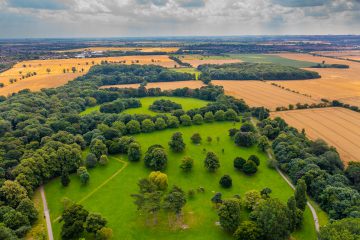 Aerial view of Weelsby Woods