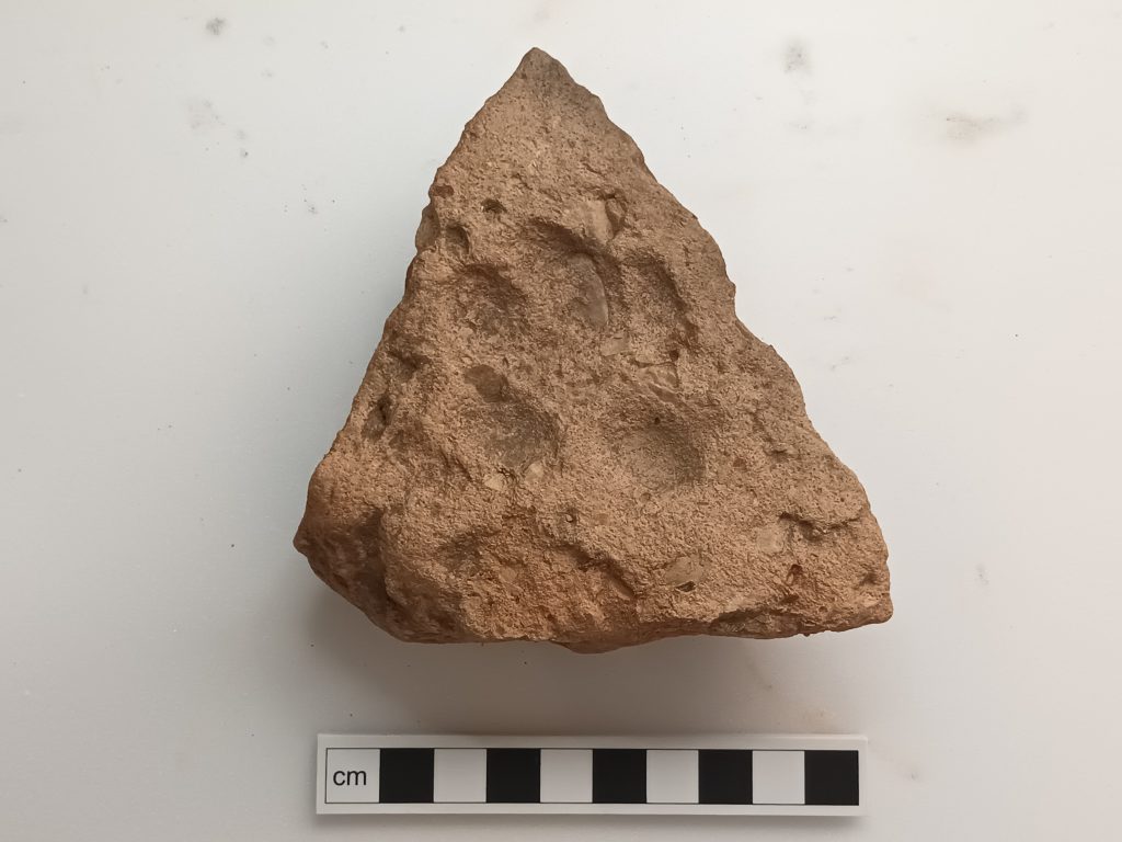 Roman roof tile with dog paw print