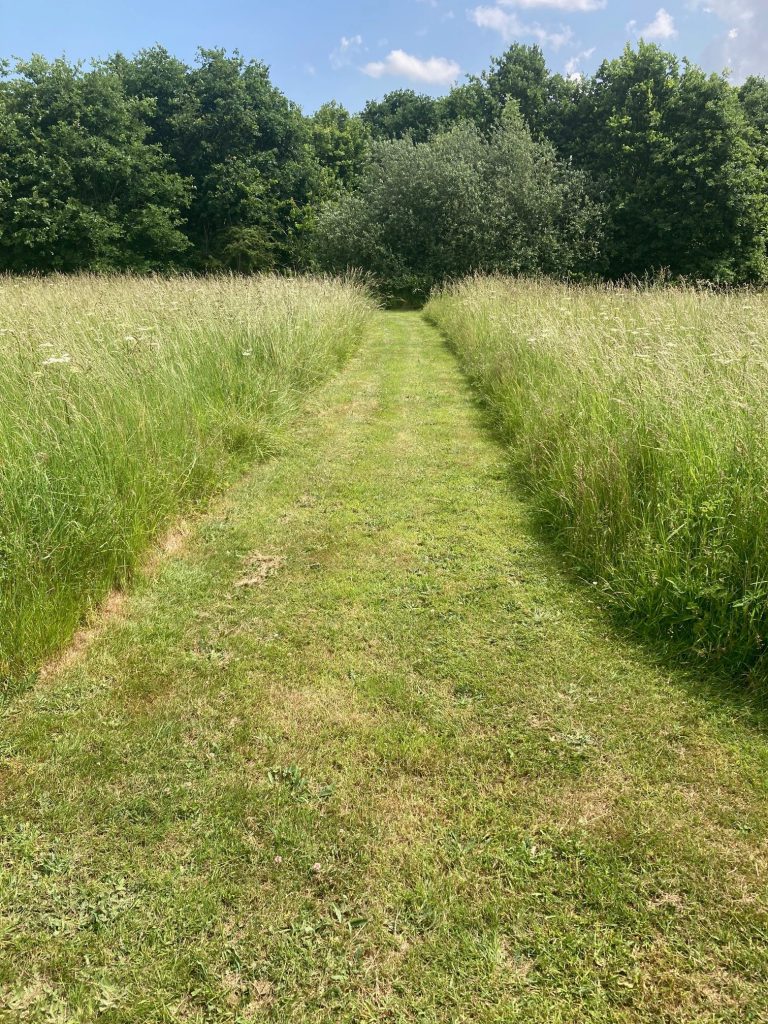 Woodland burial area at Grimsby Crematorium.