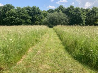 A meadow and woodland burial area in Grimsby