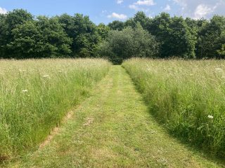 A meadow and woodland burial area in Grimsby