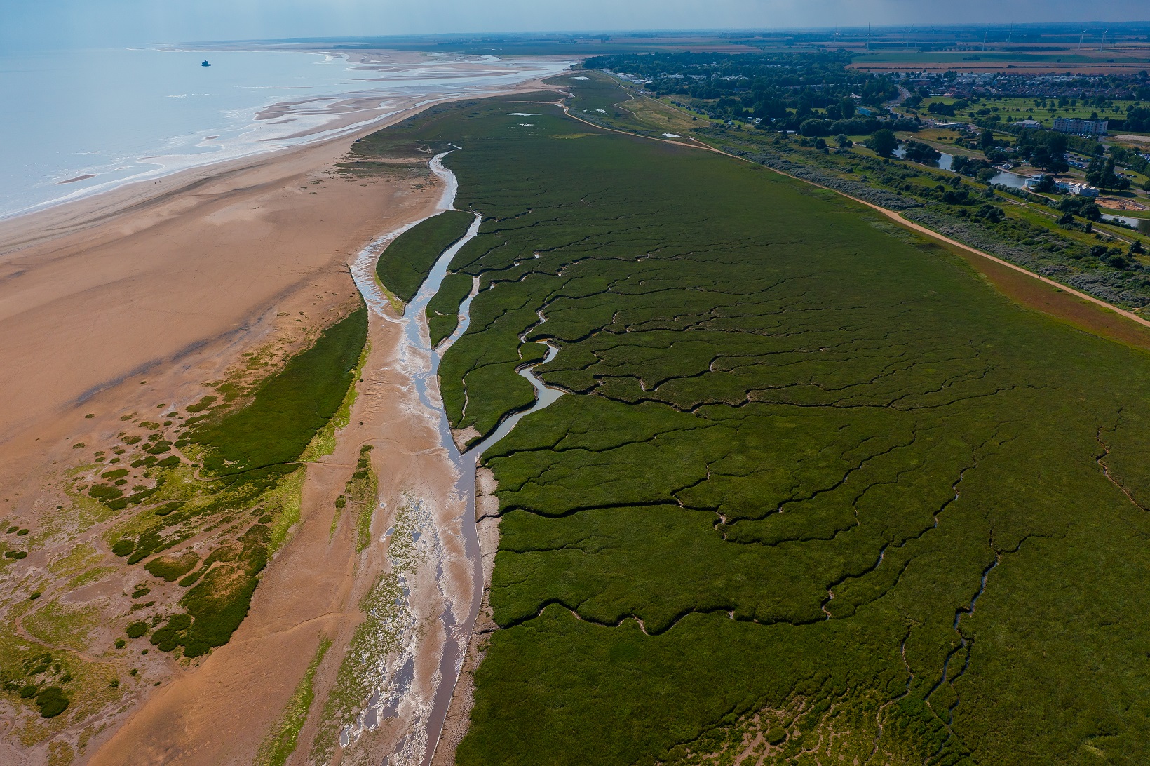 Cleethorpes saltmarsh