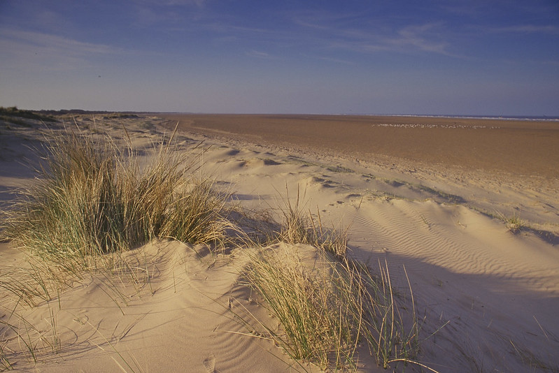 Saltfleetby Sand dunes credit Natural England Paul Glendell