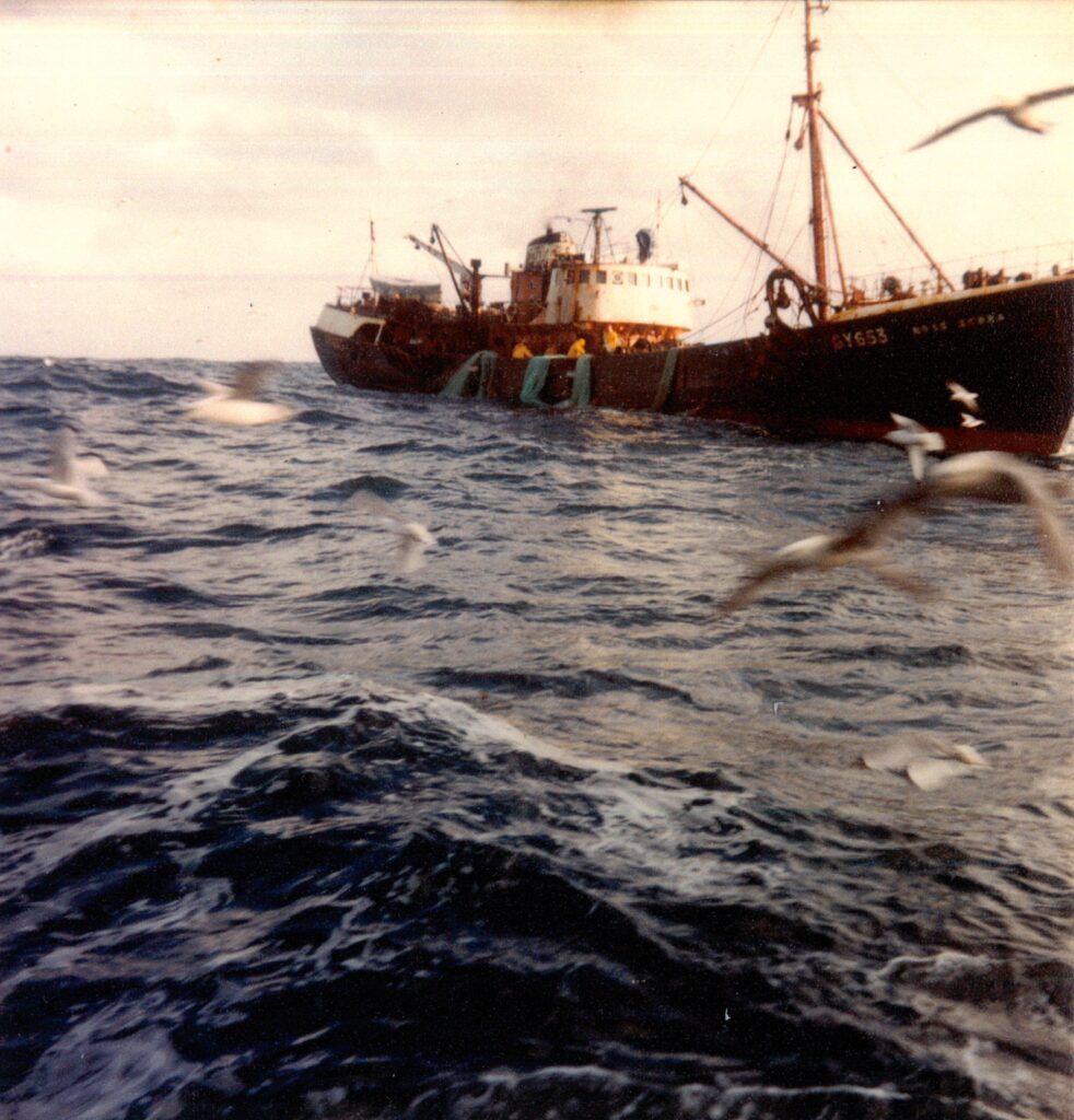 Hauling time on Ross Zebra, a photo taken from the Ross Tiger. From the Fred Powles Collection