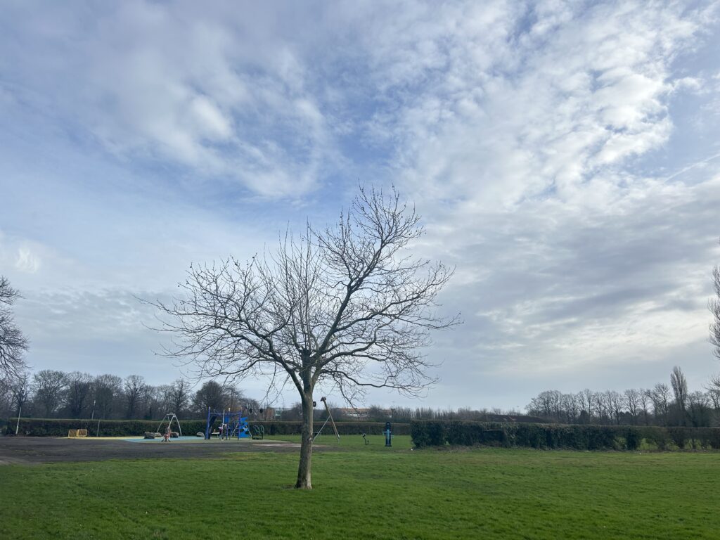 Play area at Barretts Recreation Ground