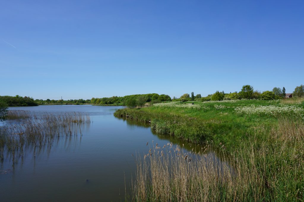 Water and grass area in Cleethorpes Country Park