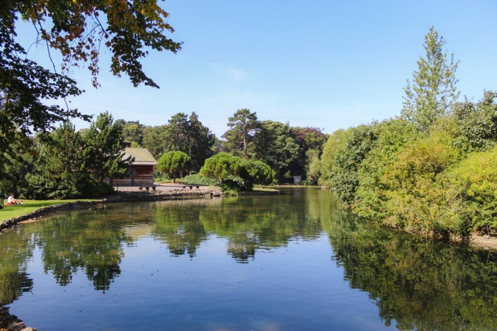 Trees and water in People's Park