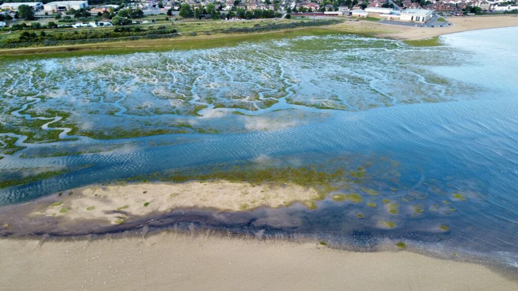 Cleethorpes saltmarsh