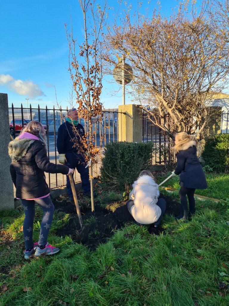 Volunteers and school children planting trees in West Marsh, Grimsby