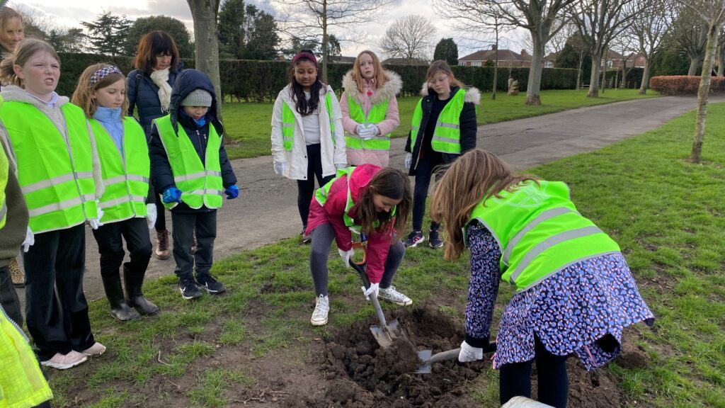 Volunteers and school children planting trees in Haverstoe Park, Cleethorpes