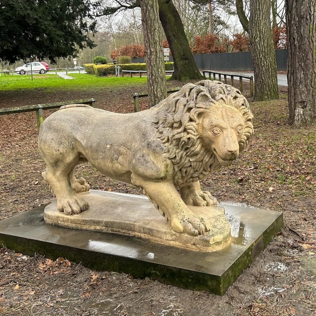A stone statue of a lion outside Weelsby Woods after it was cleaned