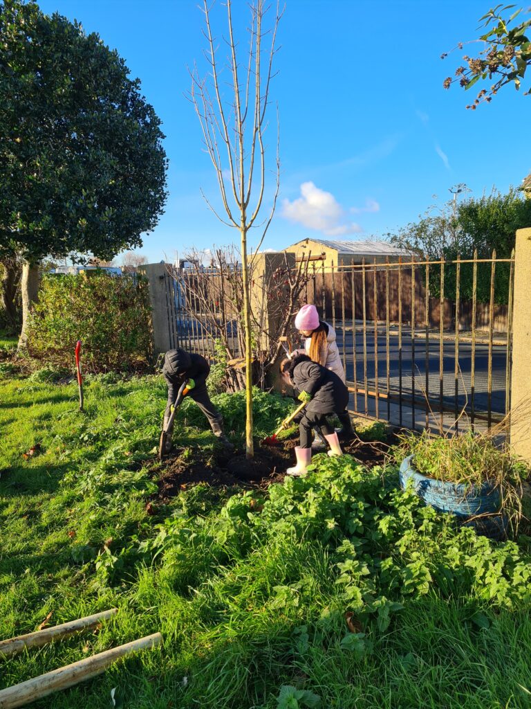 Volunteers and school children planting trees in West Marsh, Grimsby
