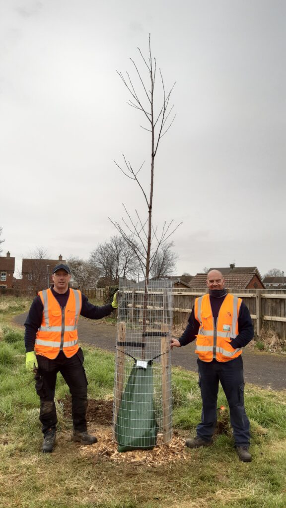 Volunteers with tree planted in Scartho