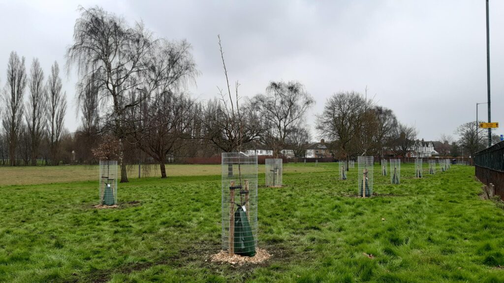 Volunteers at Barrett's Rec planting trees