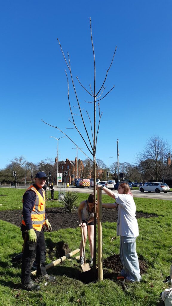 Tree planting by staff and students at Grimsby Institute