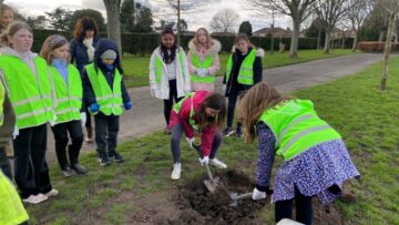 Community tree planting in Haverstoe Park