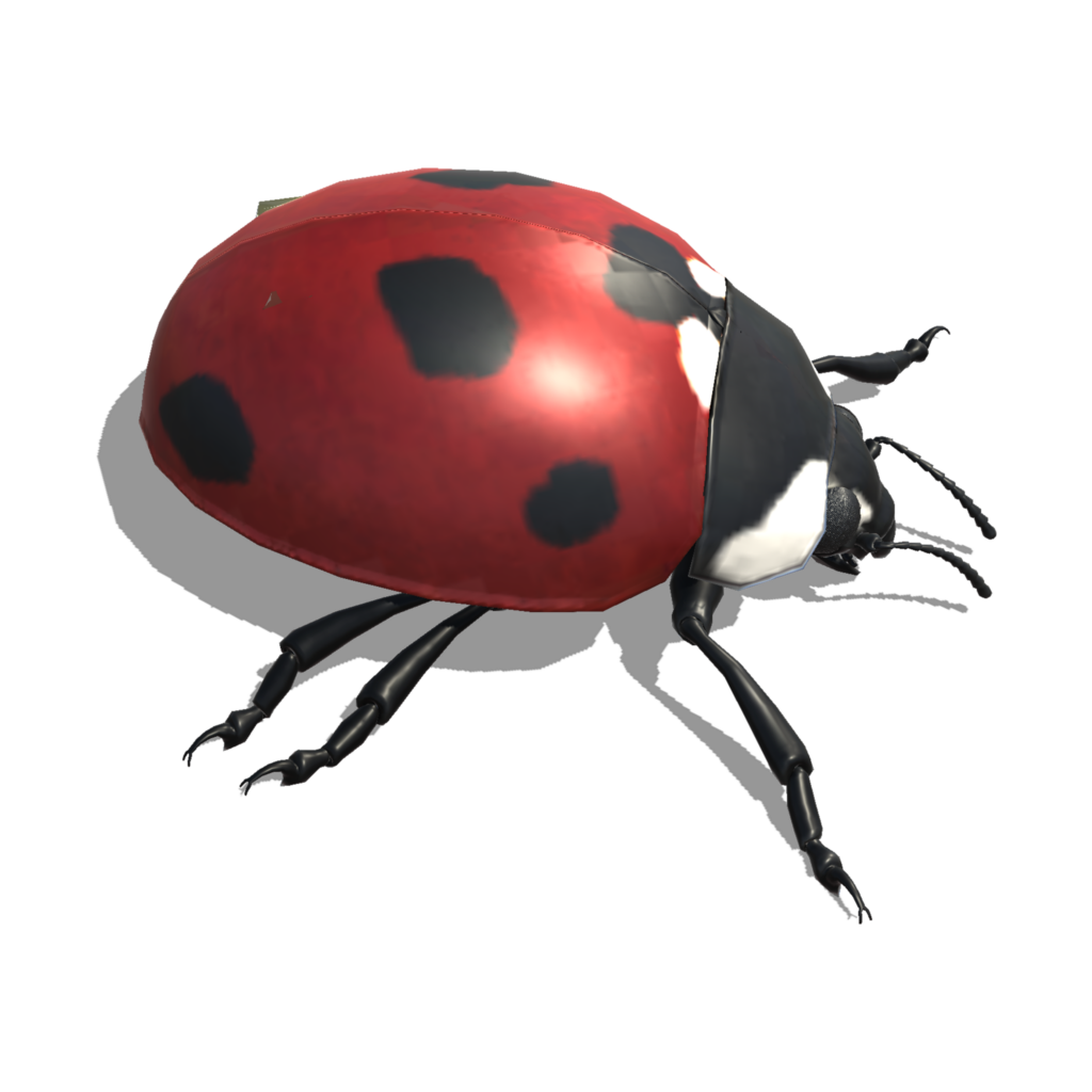 Cartoon ladybird taken from the Love Exploring digital walking trail