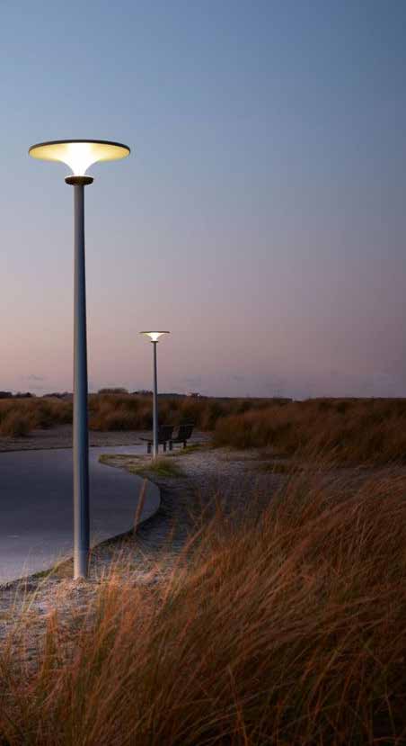 Street lighting along a road and grass area