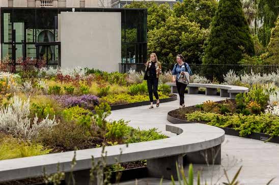 People walking down a path surrounded by greenery