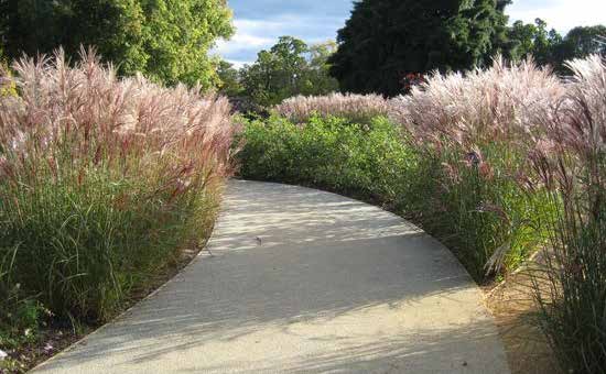 Flowers and grass lining a walkway