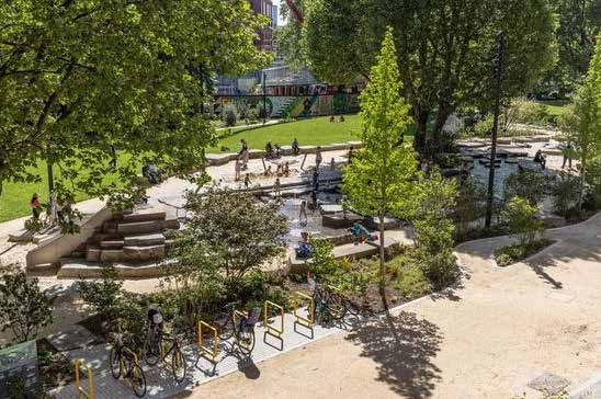 Open space with trees and plants