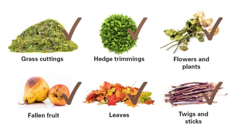 Grass cuttings, hedge trimmings, flowers and plants, fallen fruit, leaves, twigs and sticks