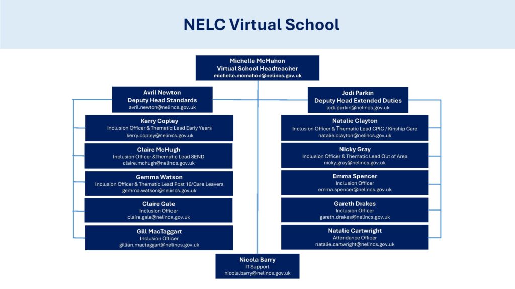 Organisation chart for the Virtual School